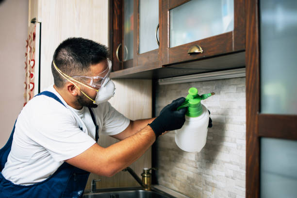 Best Local Pest Control Services  in Wrightsboro, NC