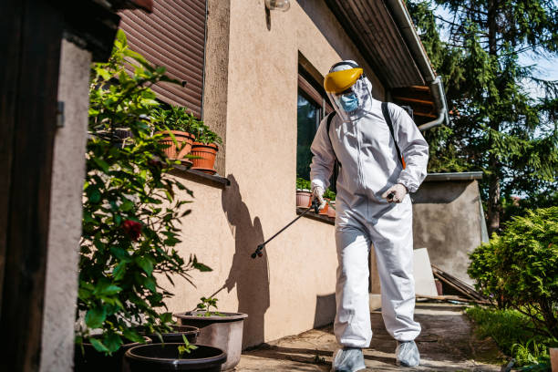 Professional Pest Control in Wrightsboro, NC