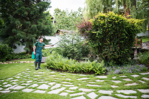 Best Affordable Pest Control Services  in Wrightsboro, NC