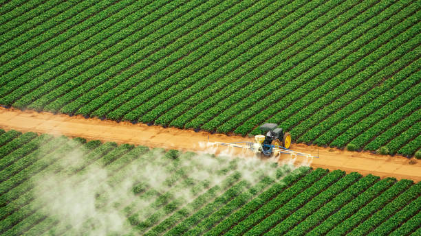 Best Pest Removal Services  in Wrightsboro, NC
