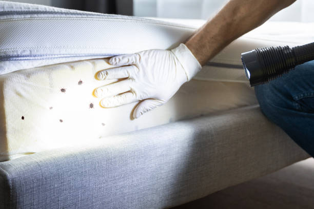 Best Pest Control Cost  in Wrightsboro, NC