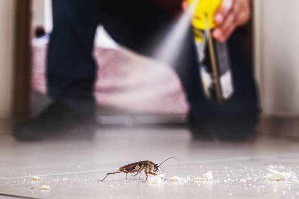 Best Affordable Pest Control Services  in Wrightsboro, NC