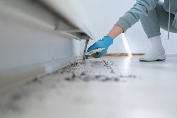 Best Pest Prevention Services  in Wrightsboro, NC