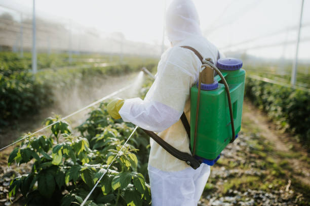 Best Local Pest Control Services  in Wrightsboro, NC